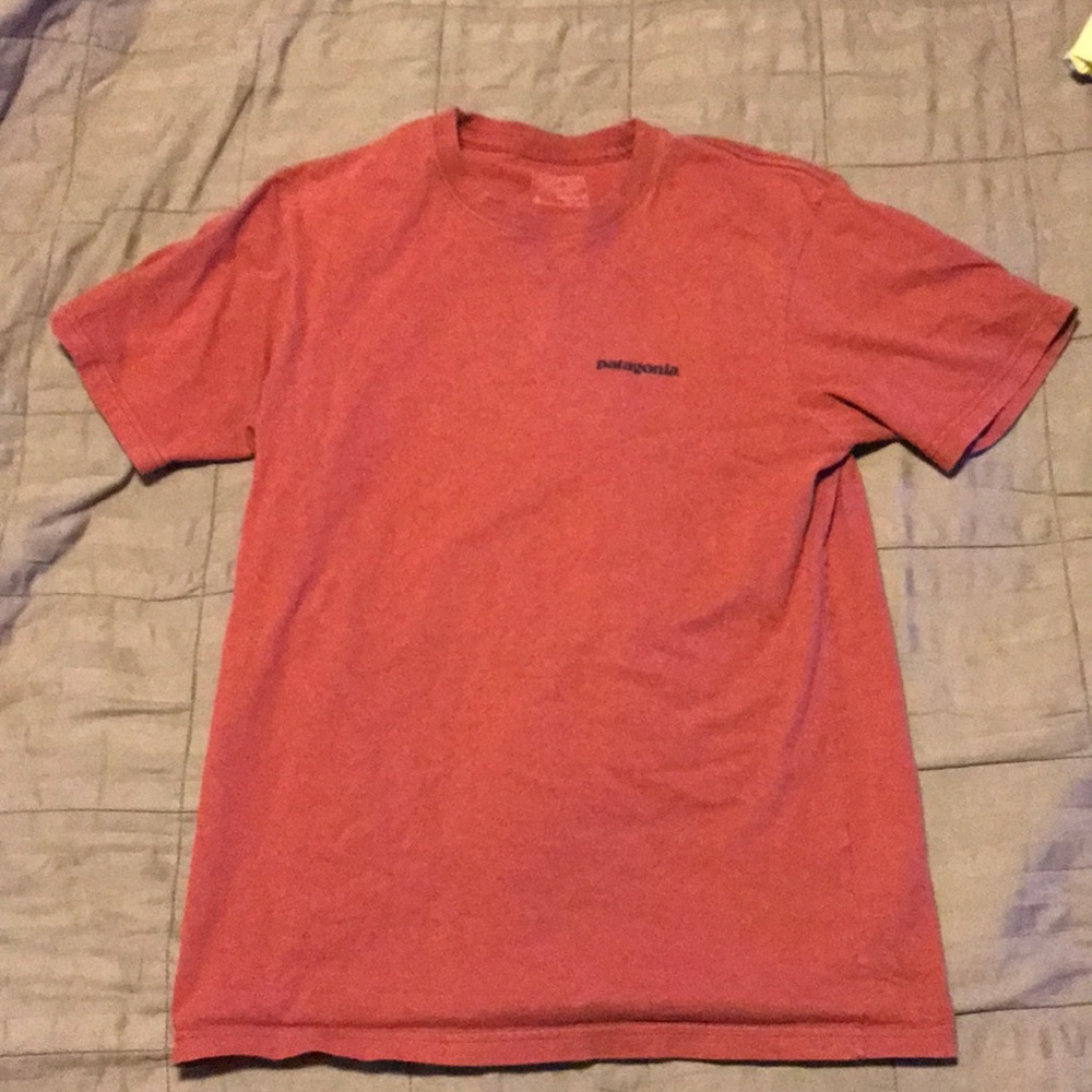 Patagonia shirt